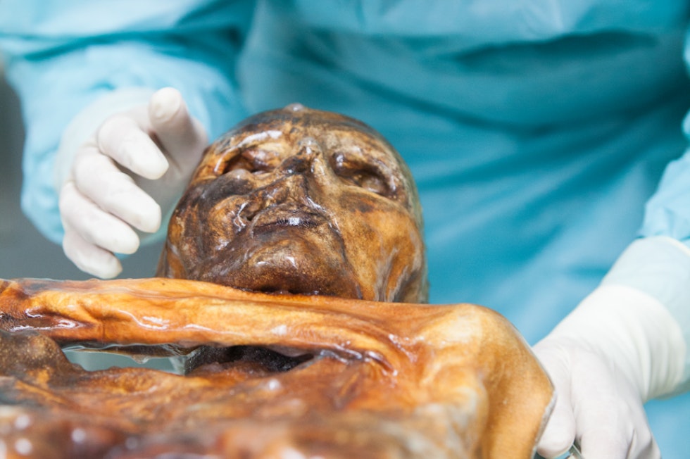 Institute For Mummy Studies Eurac Research Institute For Mummy Studies Eurac Research