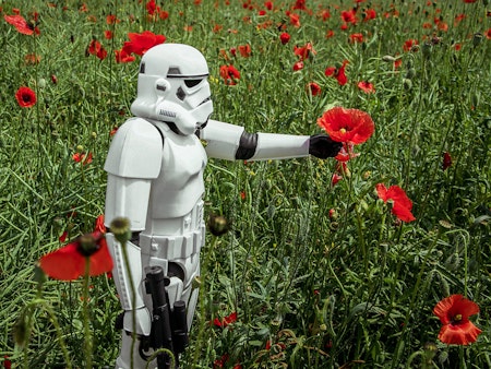 storm trooper with poppy