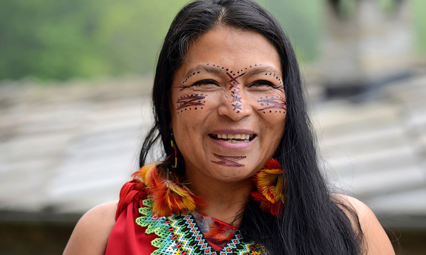 A journey towards Mother Earth: Listening to Indigenous voices in the Covid-19 pandemic