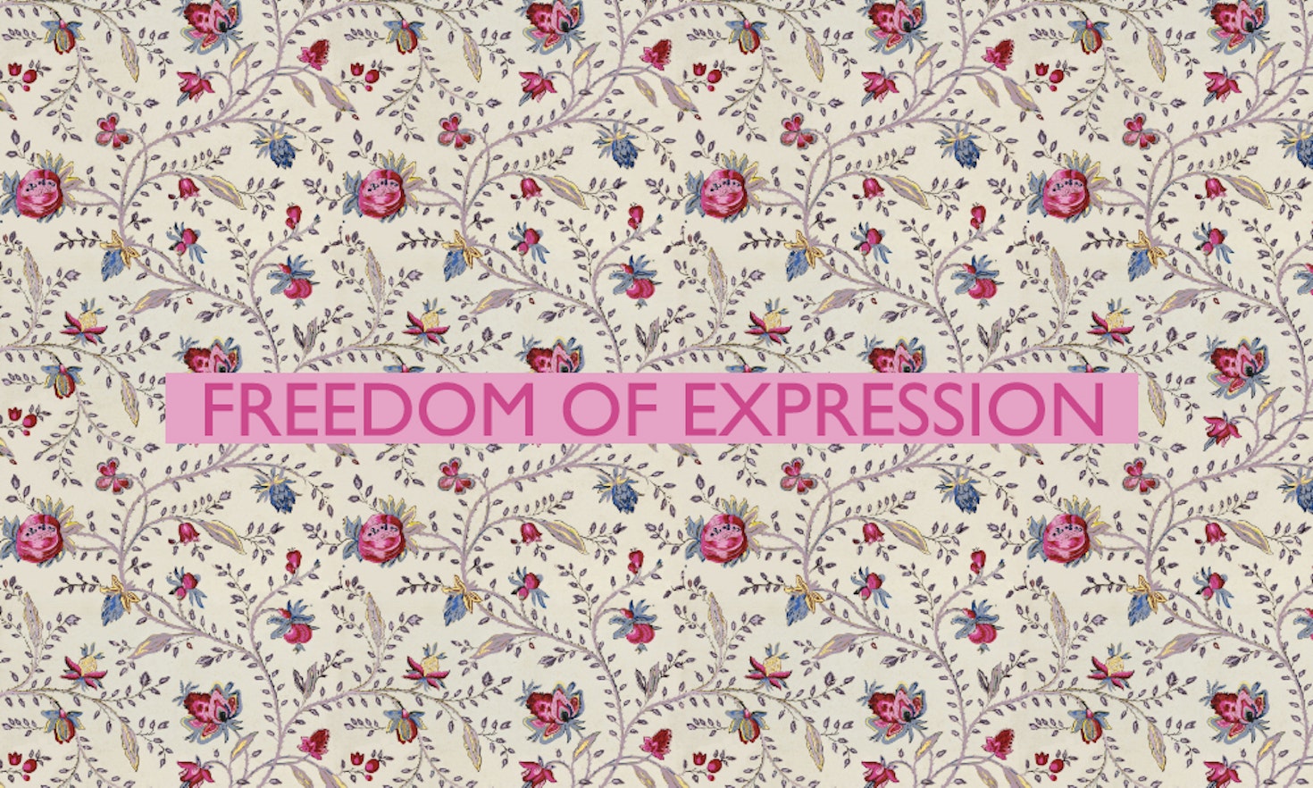 The 11th of all EU-r rights: freedom of expression and how the Charter contributes