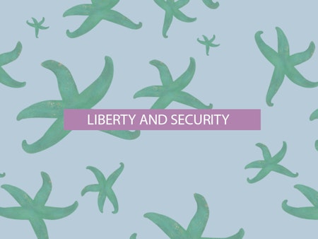The 6th of all EU-r rights: Liberty, security and how the Charter contributes