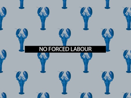 The 5th of all EU-r rights: no forced labour and how the Charter contributes