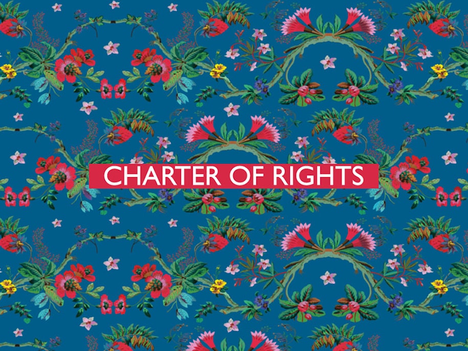 The Charter of Fundamental Rights: ‘All EU-r rights’ in 54 provisions