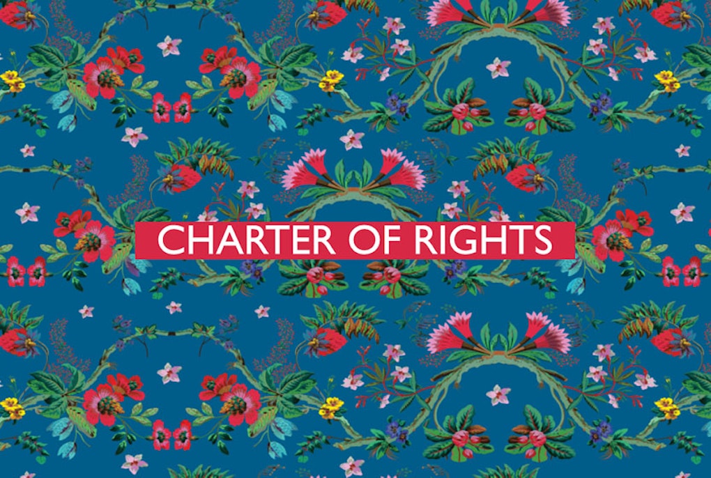 The Charter of Fundamental Rights: ‘All EU-r rights’ in 54 provisions