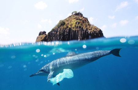 A European strategy to fight marine plastic pollution?