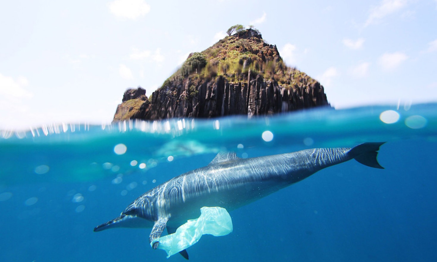 A European strategy to fight marine plastic pollution?