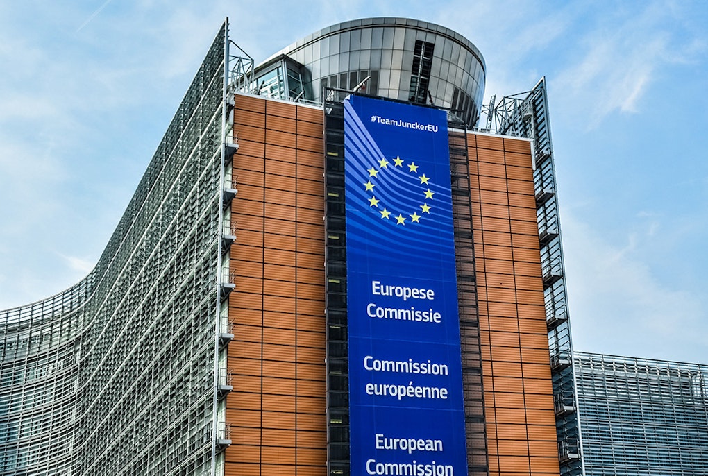 The European Commission: What is it for?