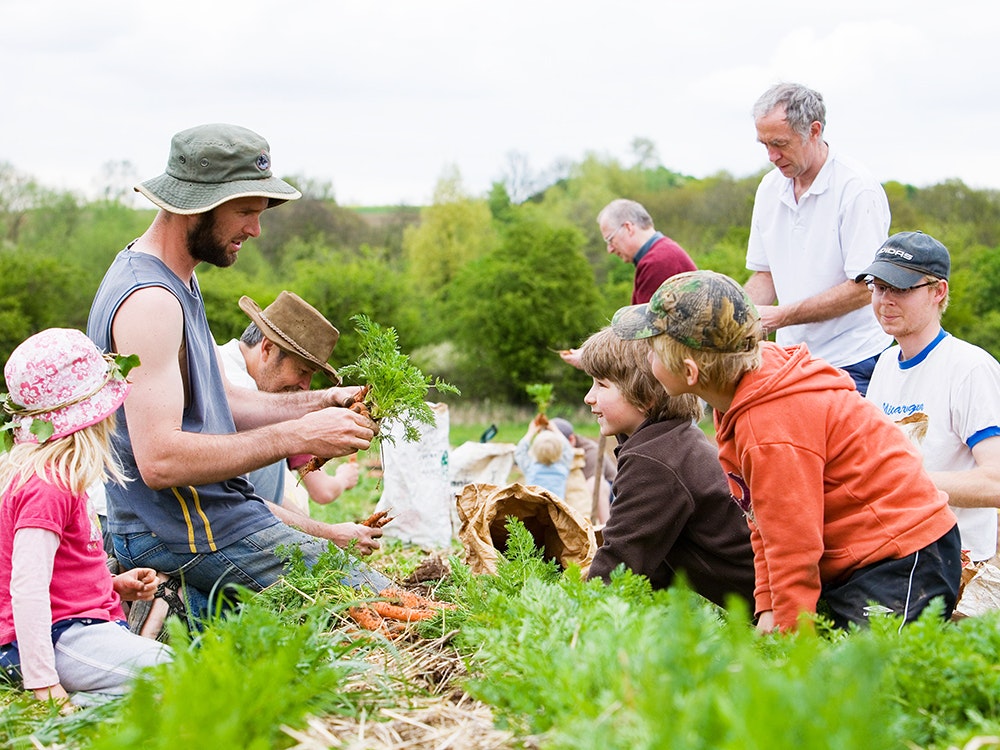 Die soziale Ader der Landwirtschaft - Eurac Research Die soziale Ader der Landwirtschaft - Eurac Research