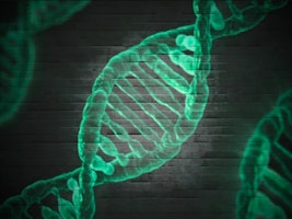 Gentechnik DNA DNS Strand Agriculture Eurac Research Blogs Jutta Staffler