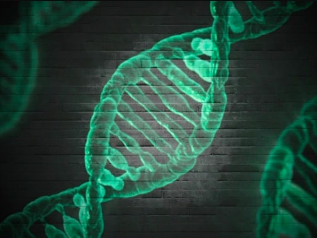 Gentechnik DNA DNS Strand Agriculture Eurac Research Blogs Jutta Staffler