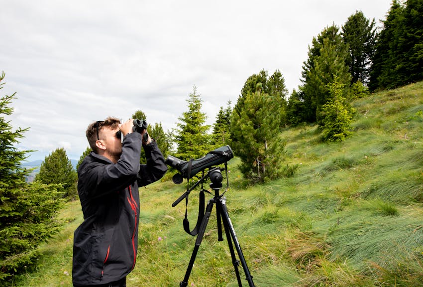 Biodiversity Monitoring South Tyrol, a long-term project