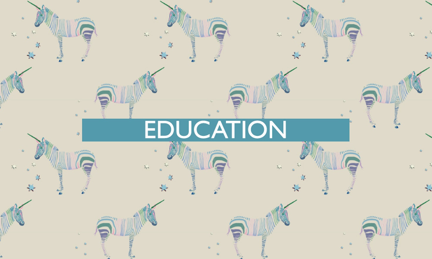 The 14th of all EU-r rights: education and how the Charter contributes
