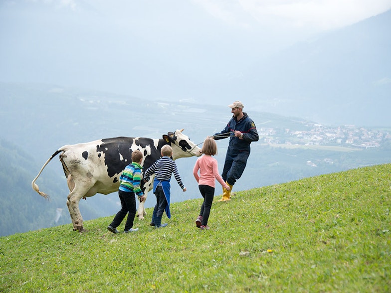 Bergbauer mit Kindern und Kuh auf der Weide