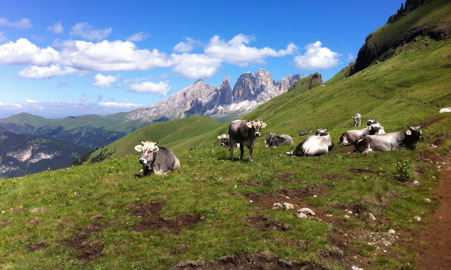 Erstes Symposium zur Viehwirtschaft im Berggebiet an der Eurac in Bozen