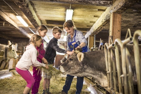 Südtiroler Bäuerinnenorganisation 2014