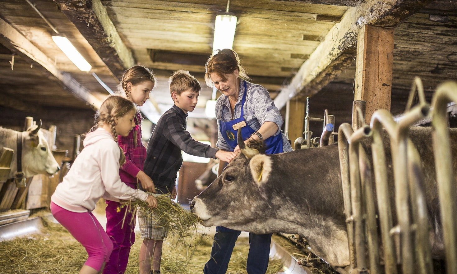 Social farming in South Tyrol: an example of social innovation in rural areas