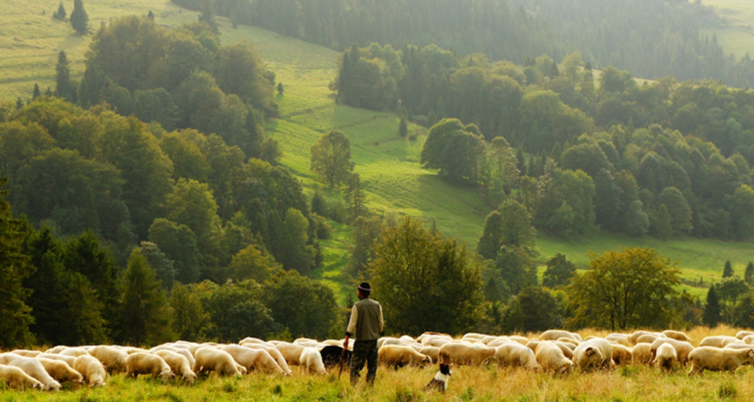 Die Südtiroler Plattform Land und die Herausforderungen des ländlichen Raumes