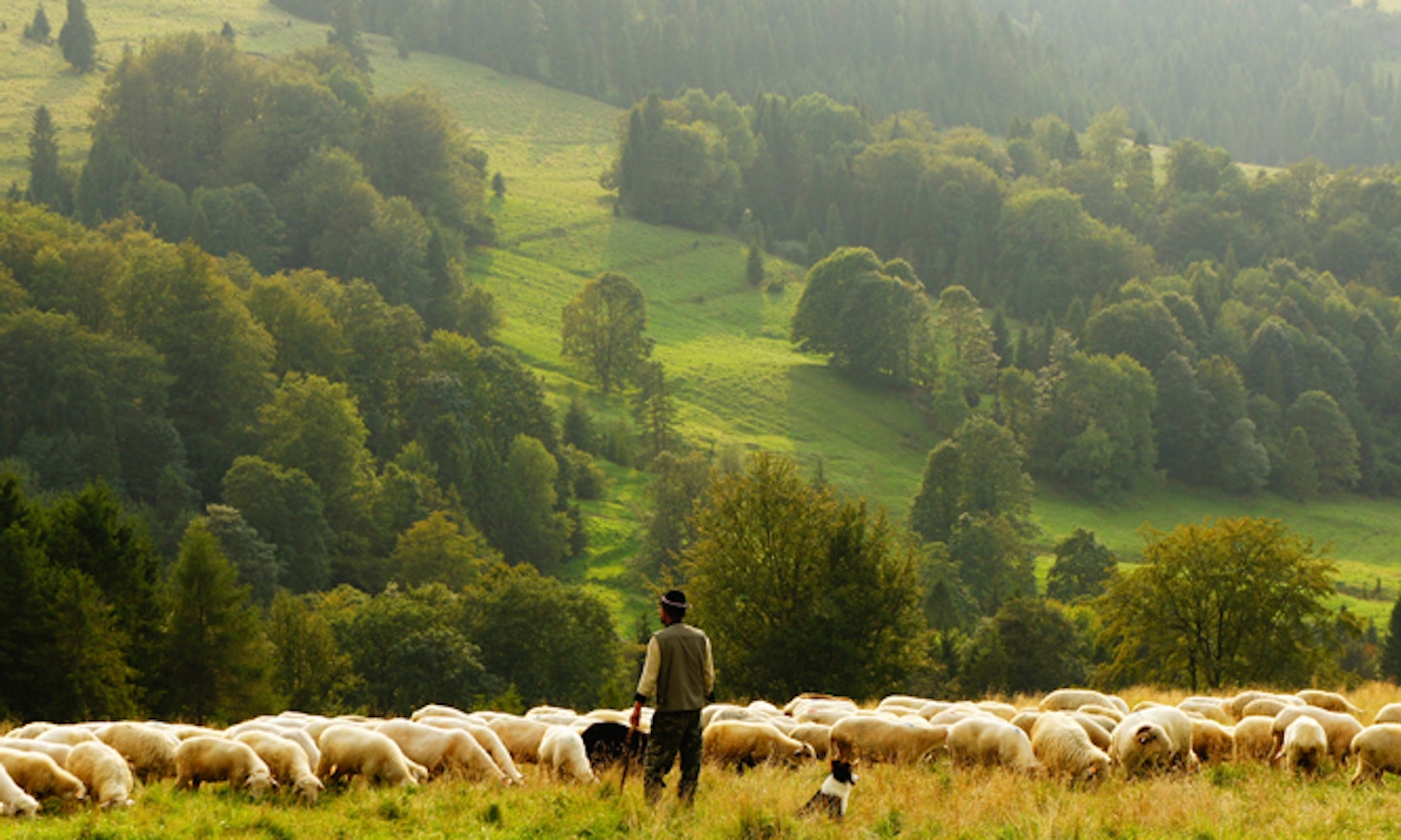 Die Südtiroler Plattform Land und die Herausforderungen des ländlichen Raumes
