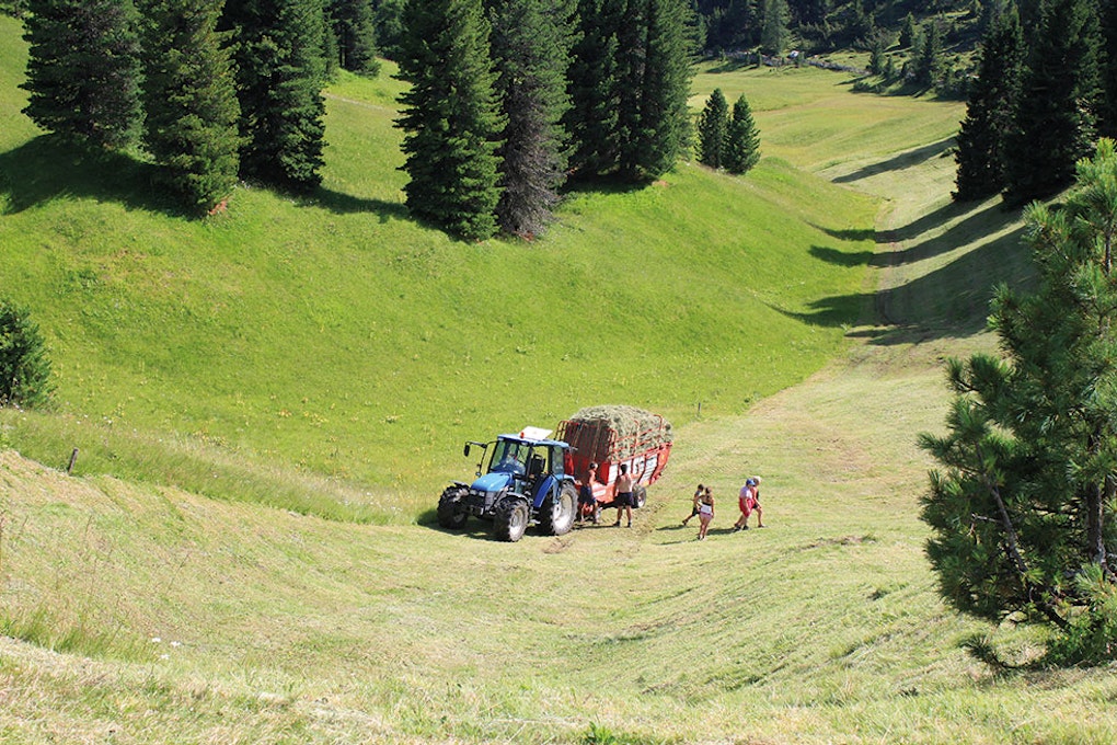 Nachhaltige Landwirtschaft: Ein Report analysiert, wo Südtirol steht 