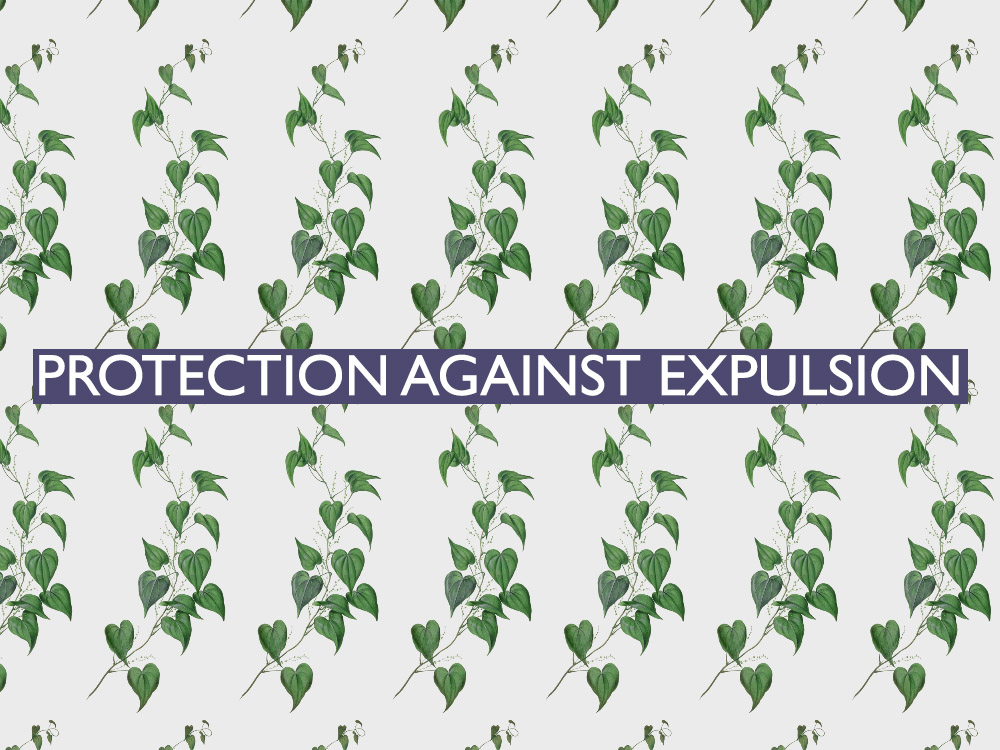 The 19th of all EU-r rights: protection against expulsion and how 