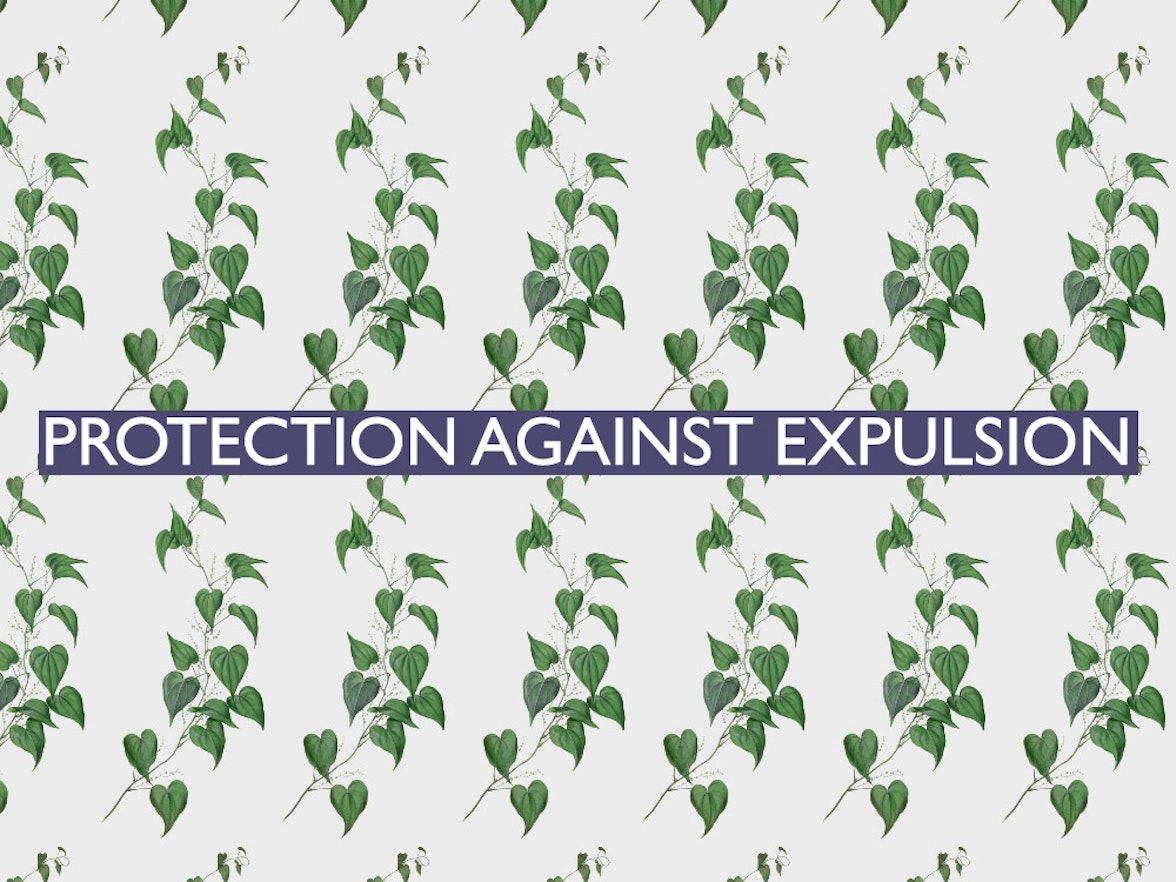 The 19th of all EU-r rights: protection against expulsion and how the Charter contributes