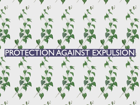 The 19th of all EU-r rights: protection against expulsion and how the Charter contributes