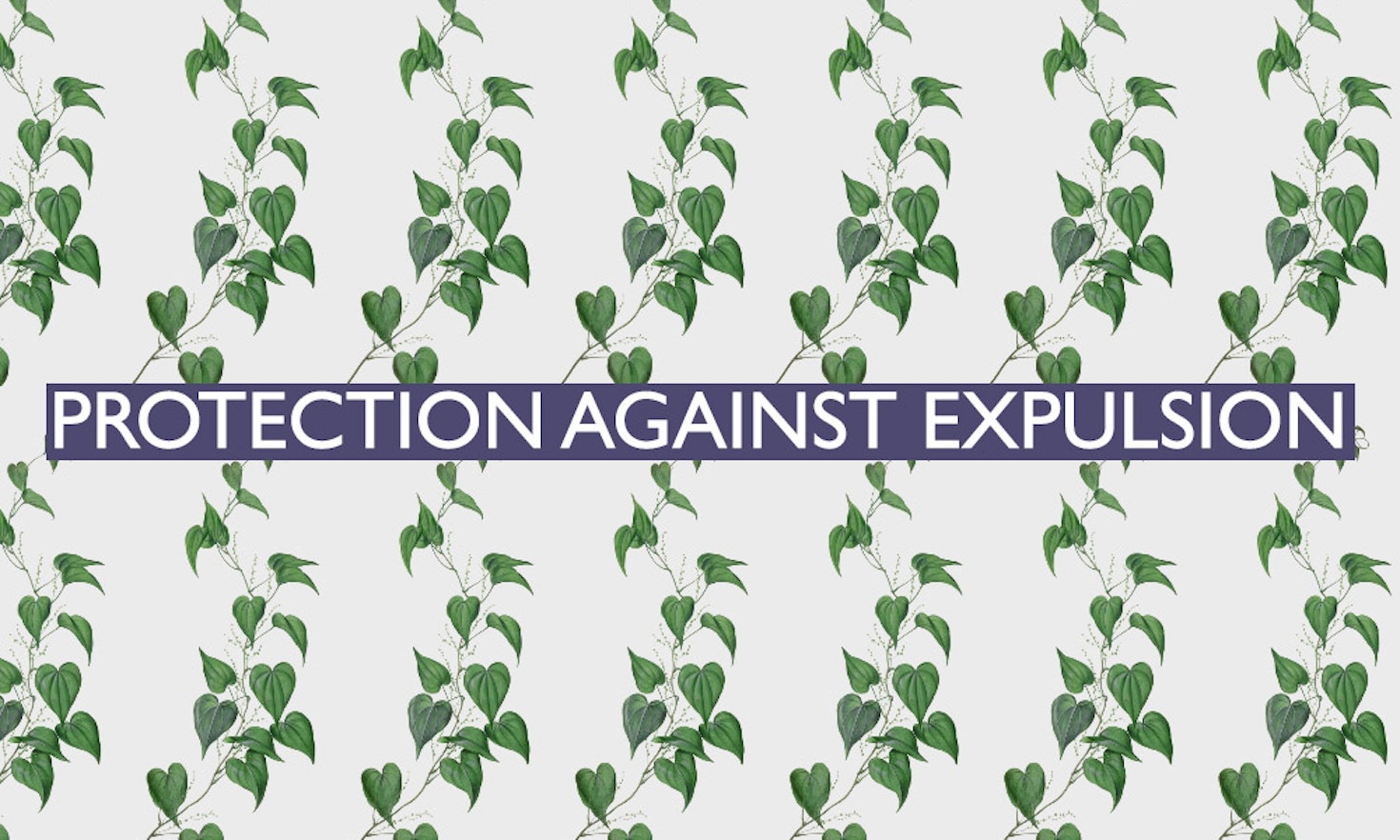 The 19th of all EU-r rights: protection against expulsion and how