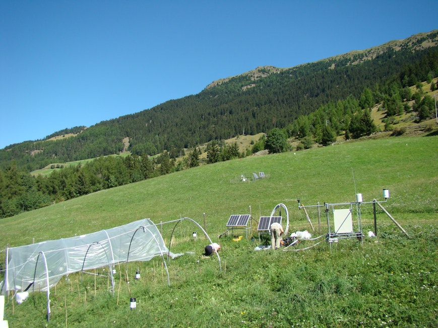 Institute for Alpine Environment