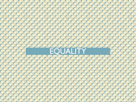 The 20th of all EU-r rights: equality and how the Charter contributes