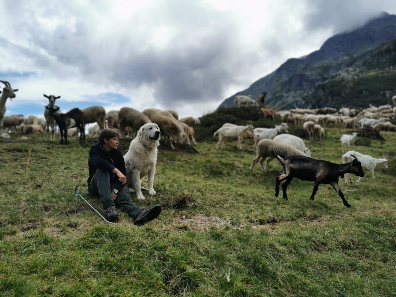Shepherdesses in the Alps