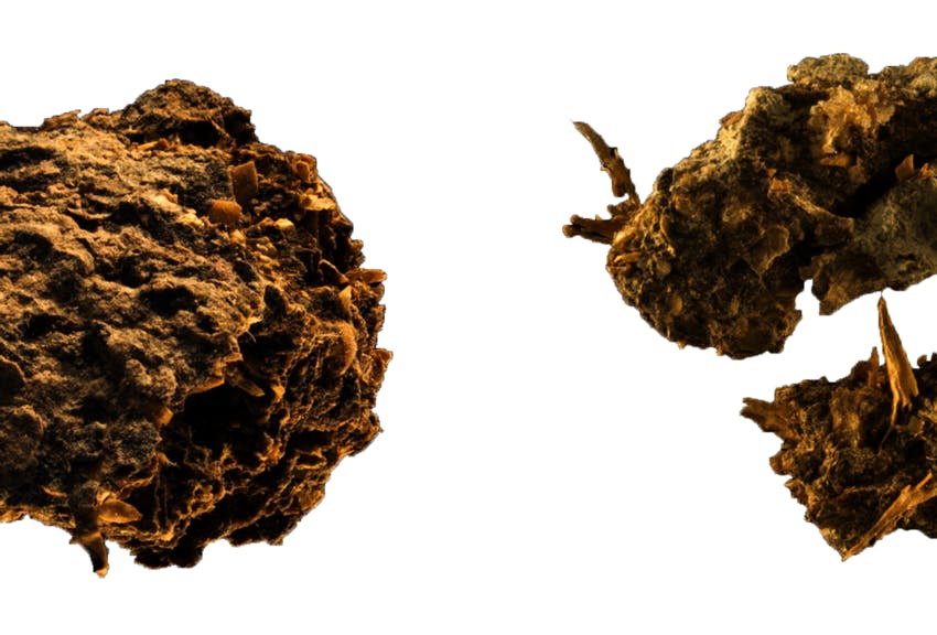 Beer and blue cheese already on the menu 2,700 years ago