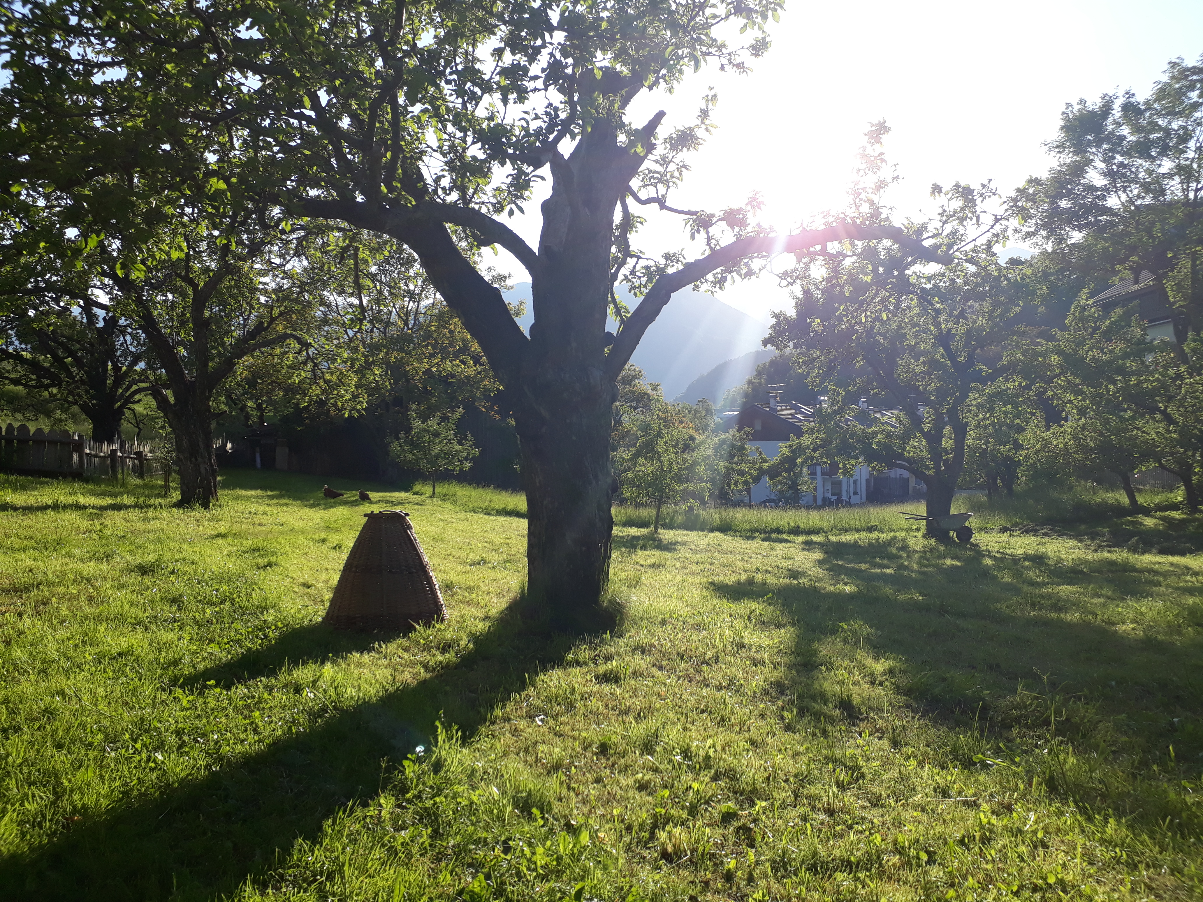 Biodiversity Monitoring South Tyrol Biodiversity Monitoring South Tyrol