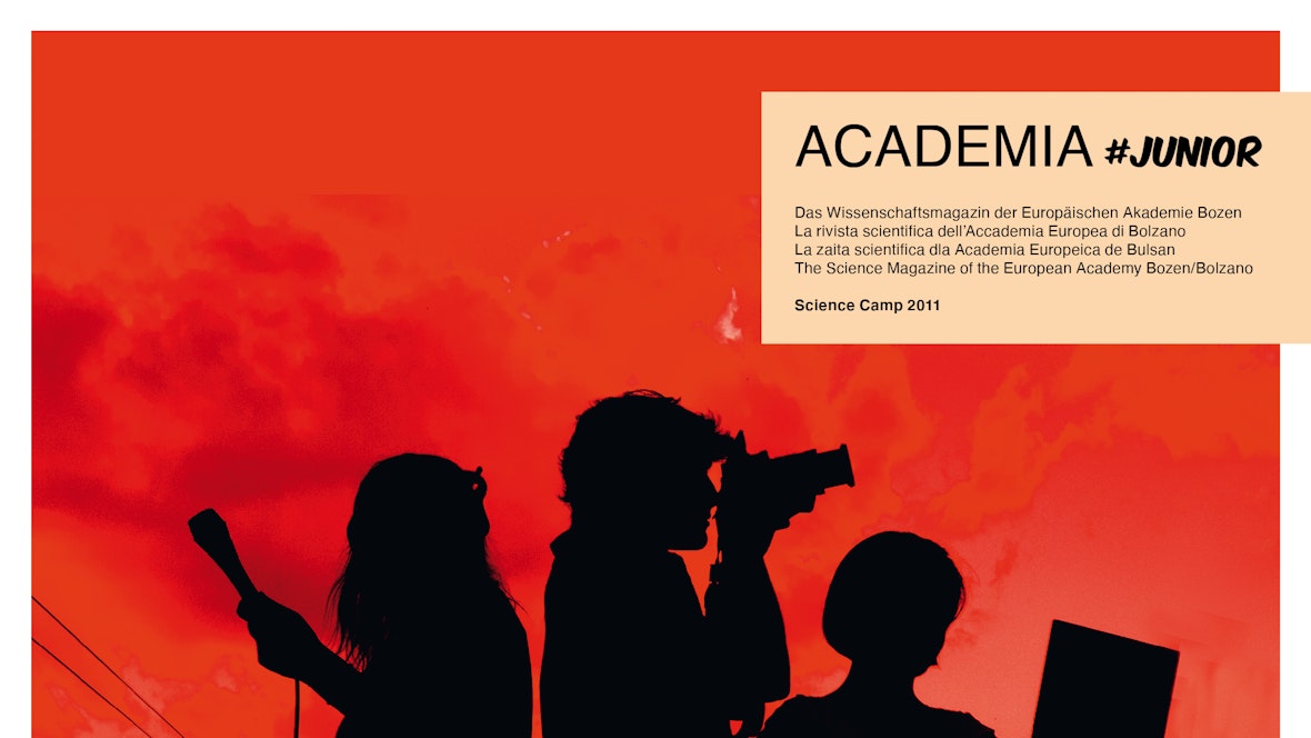 Academia junior 2011 Cover