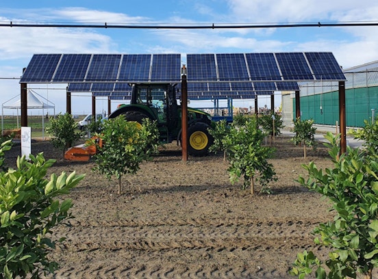 Neue Horizonte für die Agro-Photovoltaik: Forschungsprojekt SYMBIOSYST gestartet 