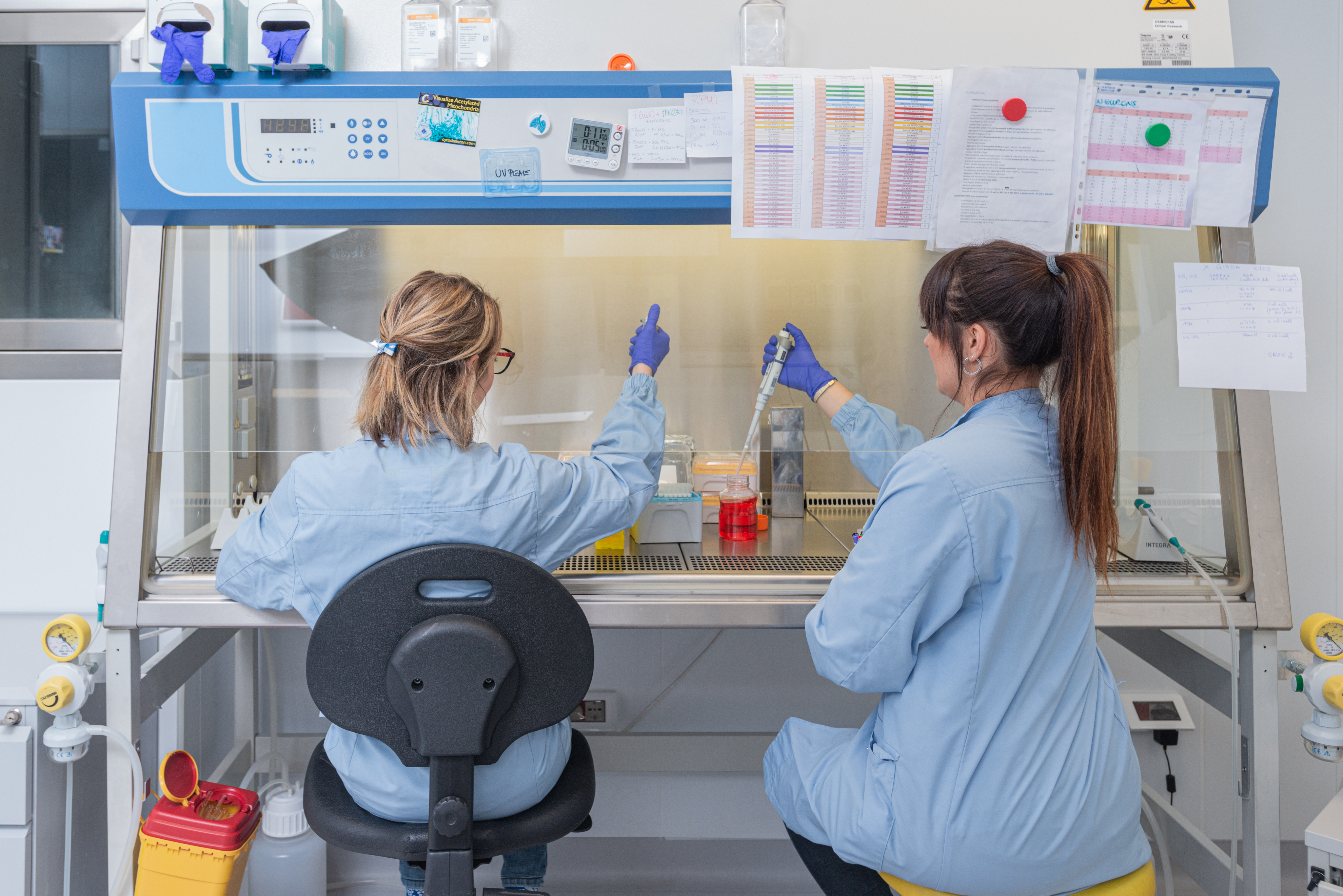 Apply for Biomedical Research Fellowship in South Tyrol!