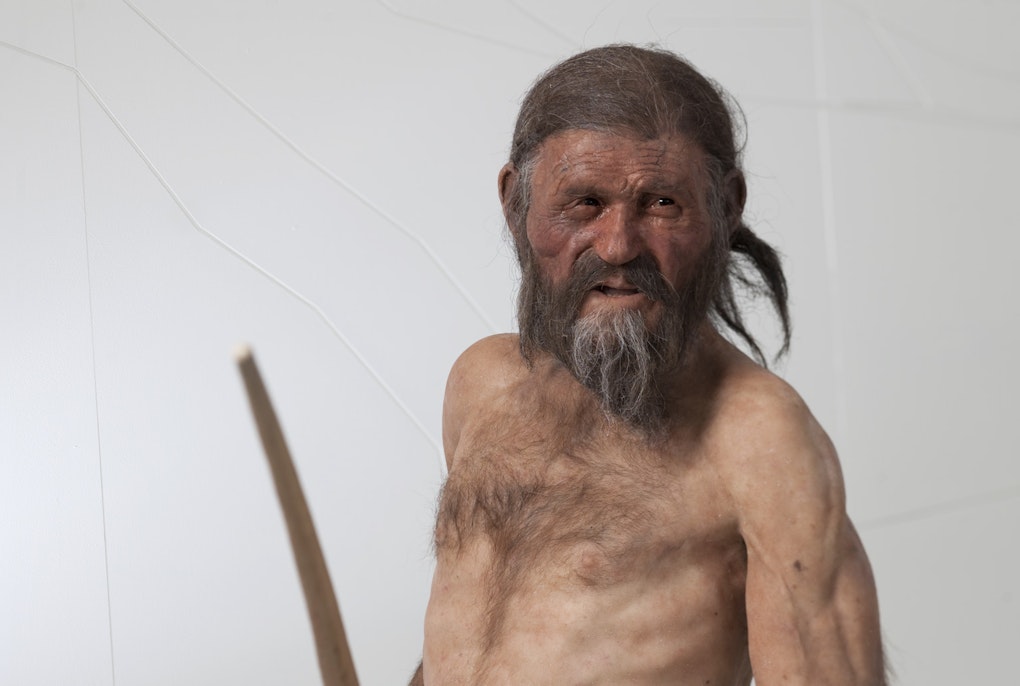 Dunkle Haut, Glatze, anatolische Vorfahren:  die neuesten Erkenntnisse aus Ötzis Genom