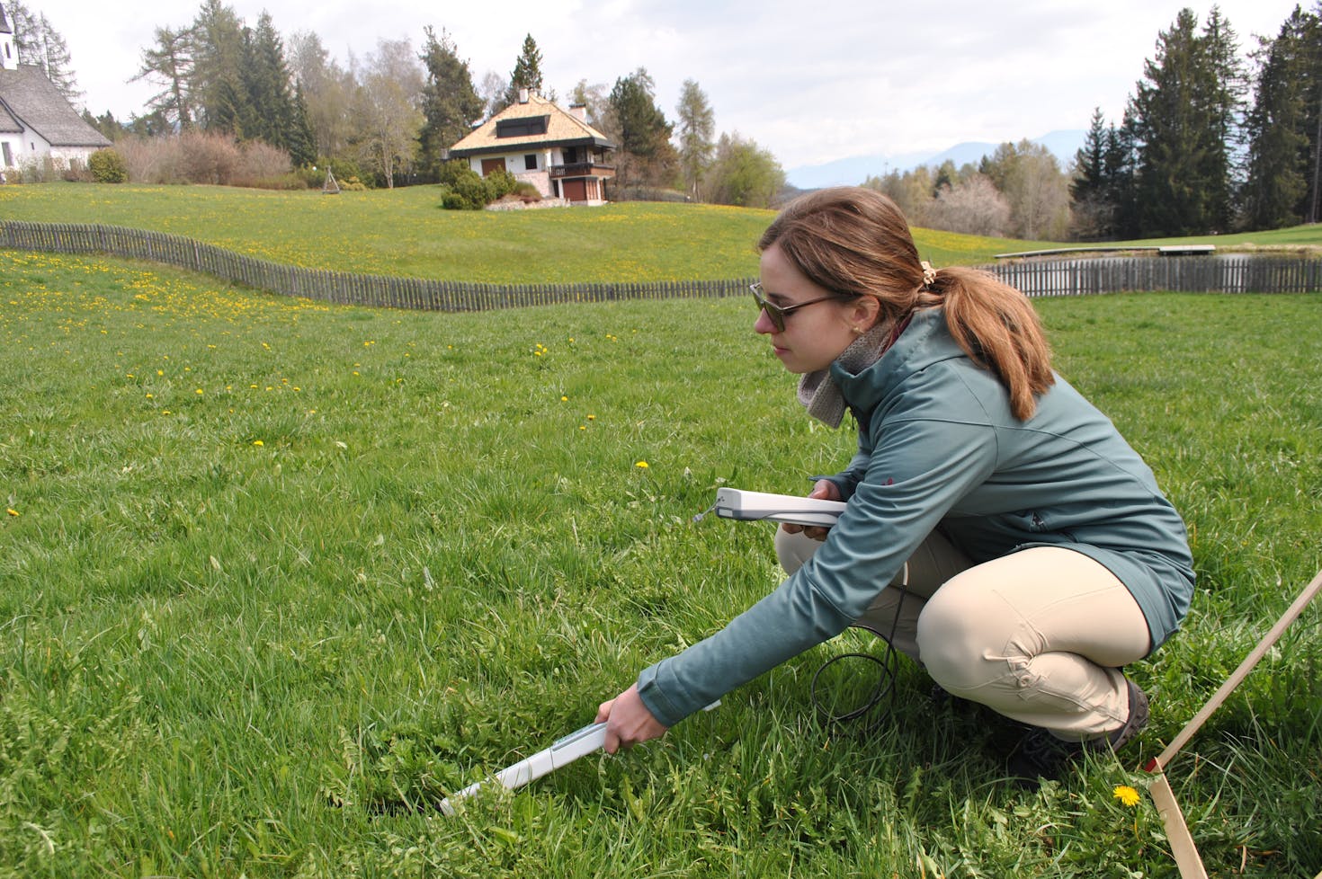 Our researcher is collecting leaf area index (LAI) and forage yield data.