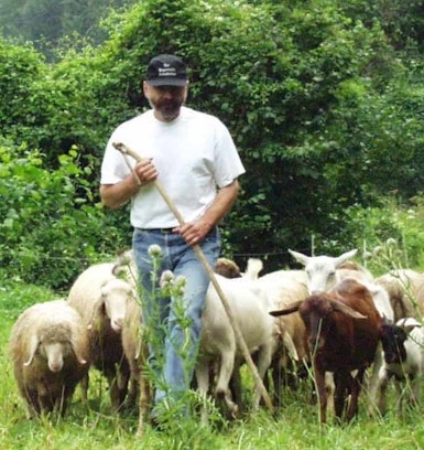 Webinar - Herdenschutz für kleine Schaf- oder Ziegenherden