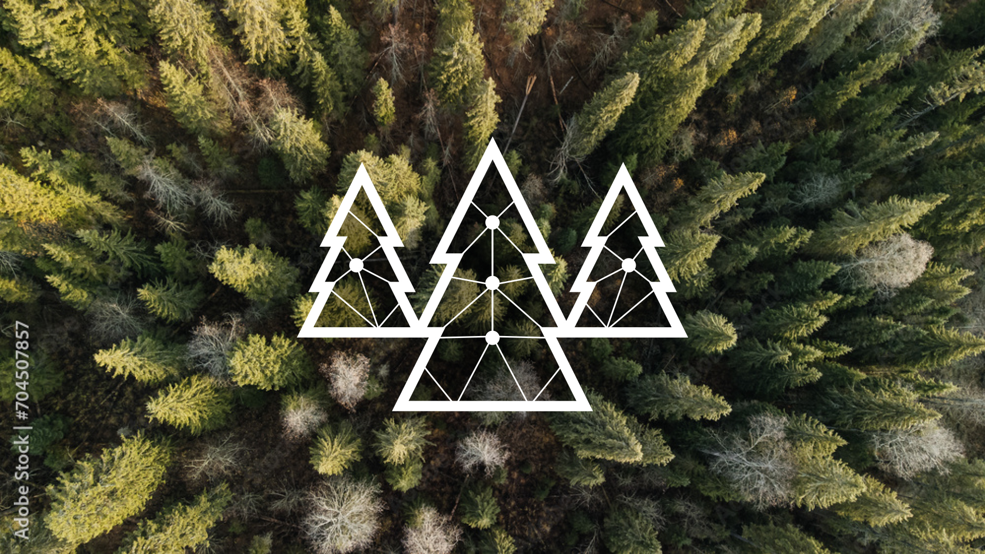 EnvironTwin Workshop