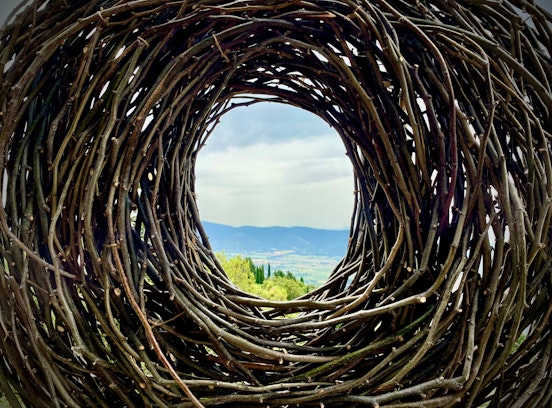 Aula Verde: arte e scienza per la giustizia climatica