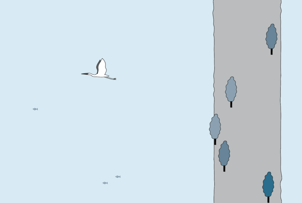 Litigare per l’acqua