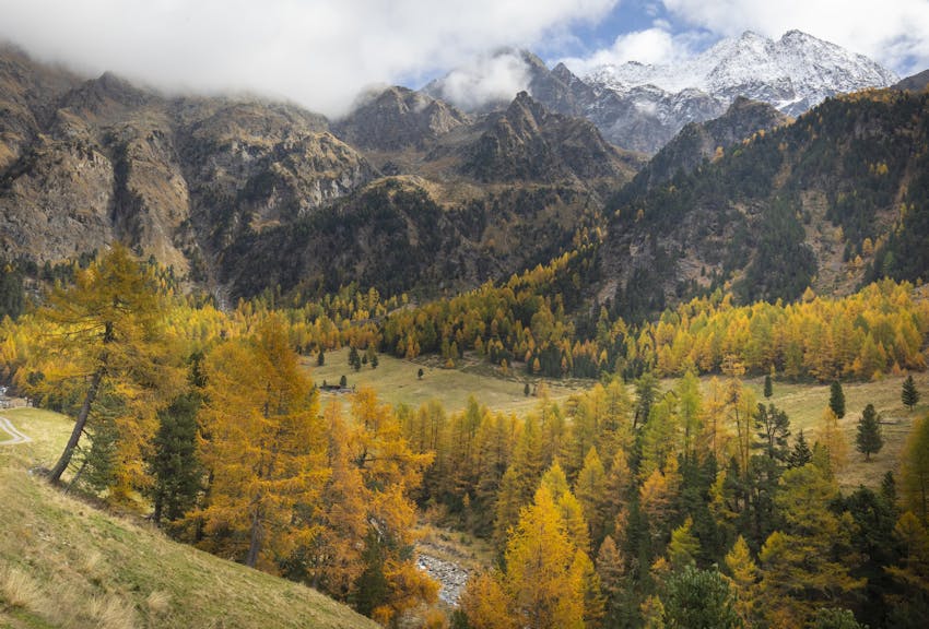 LTSER platform Val Mazia/Matschertal