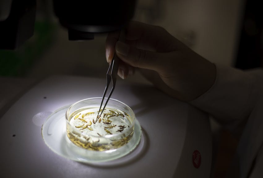 TEST GALLERY Fiumi in vita (duplicate)