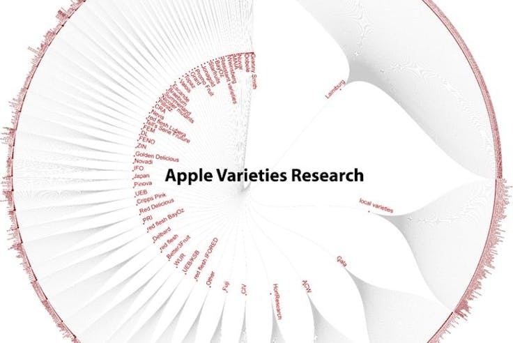 OB-VISLY project successfully concluded