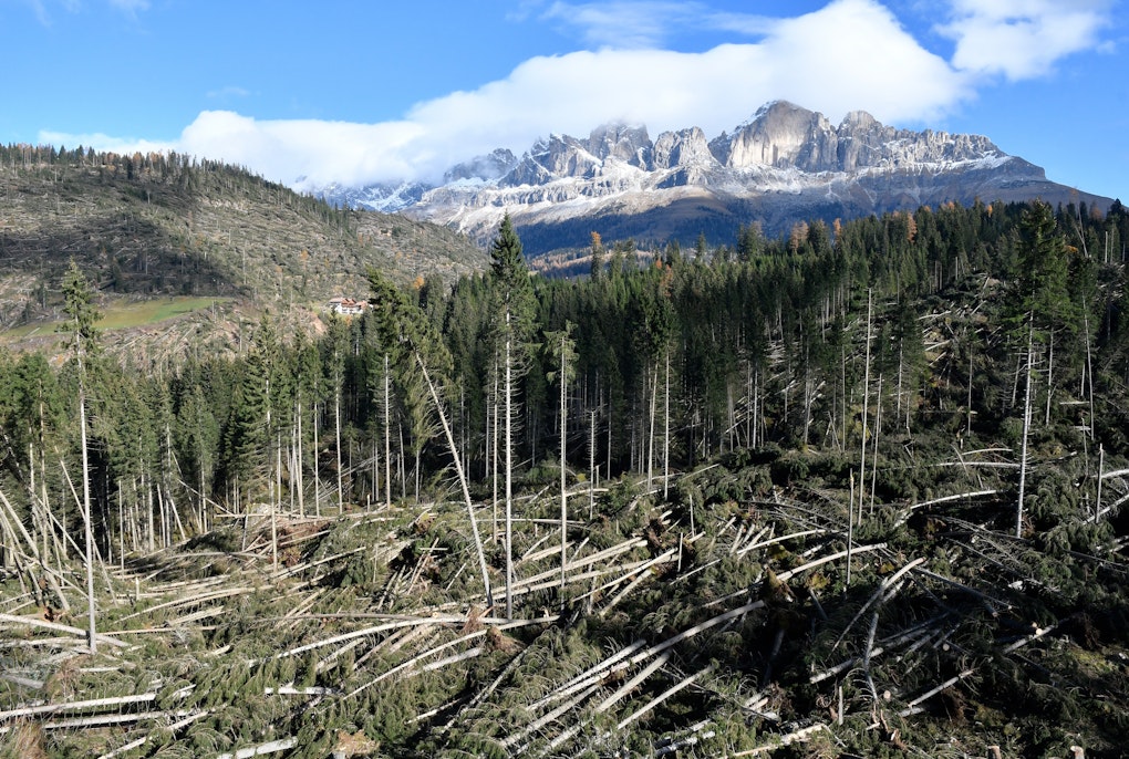 “70 percent are afraid of the negative consequences of climate change”