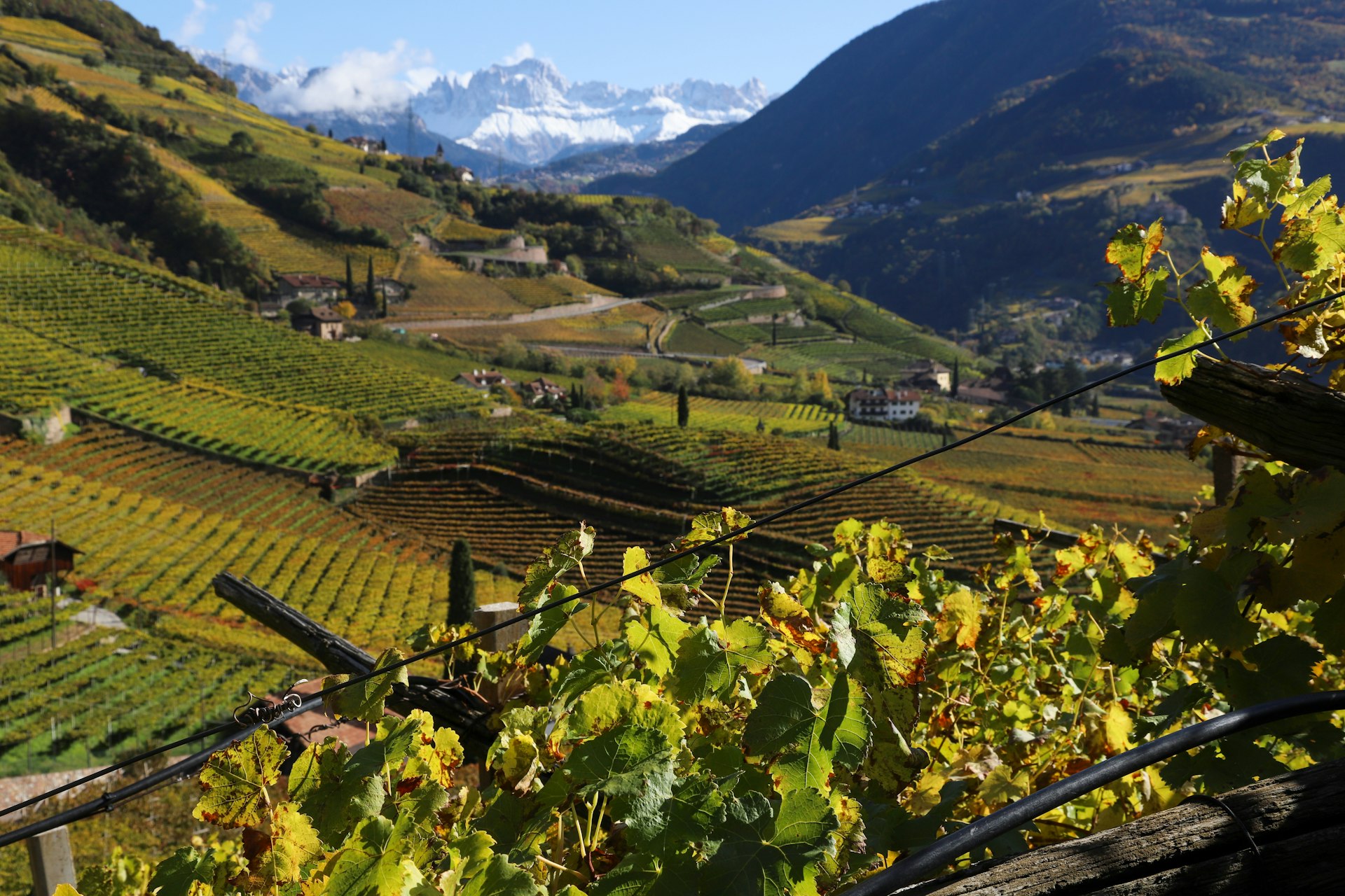Traditions of Life in the Countryside in Italy – LearnAmo, image size:1920x1280