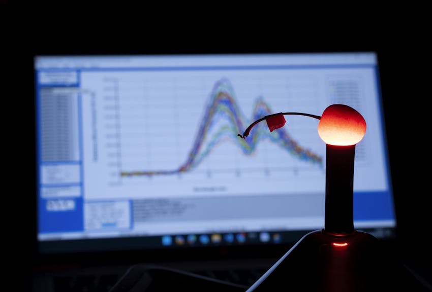 The future guardians of our orchards