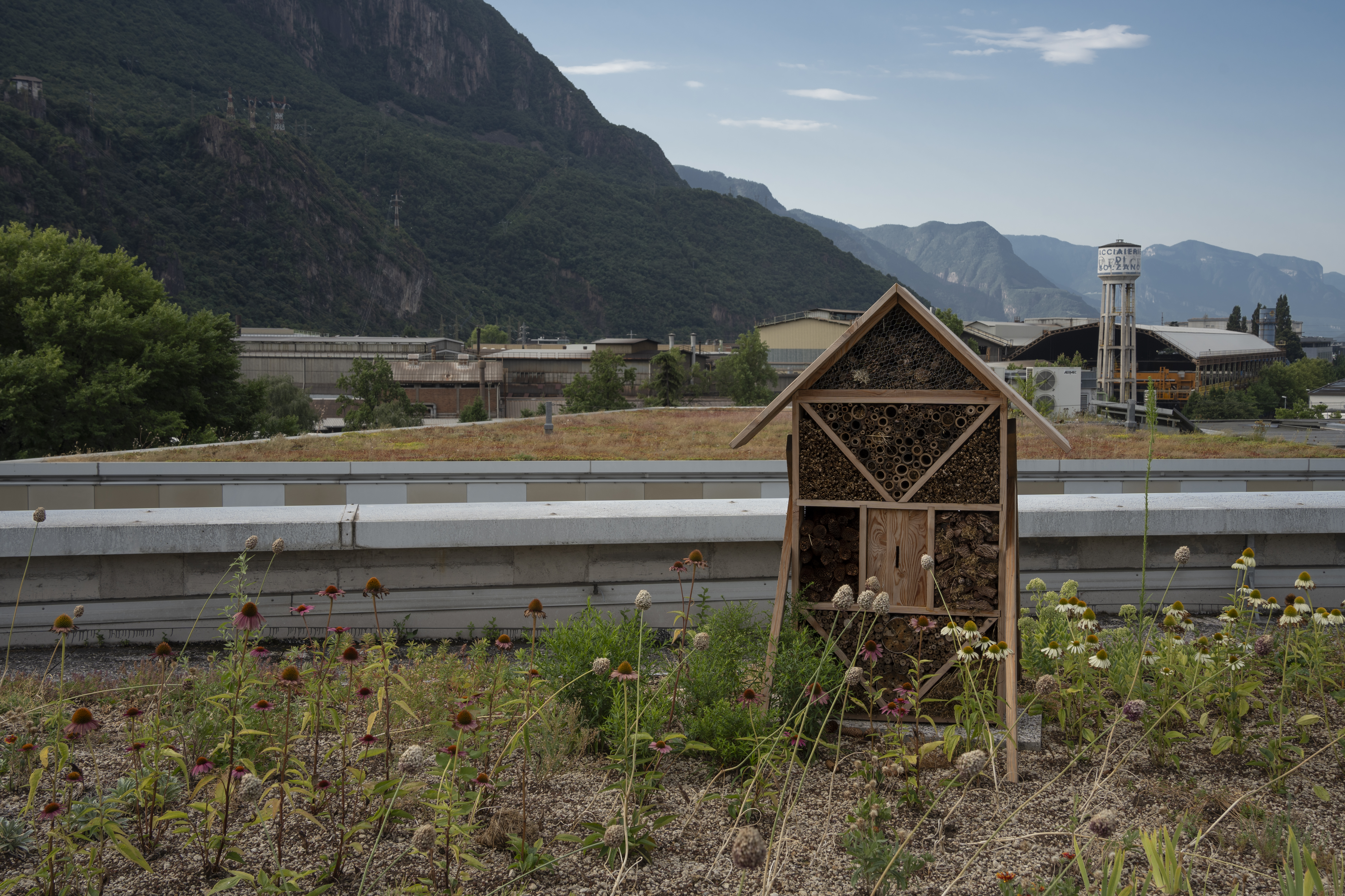 JUSTNature: The European project for greener cities 