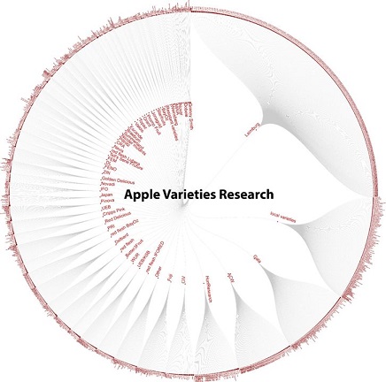 Data (Visual) Analytics