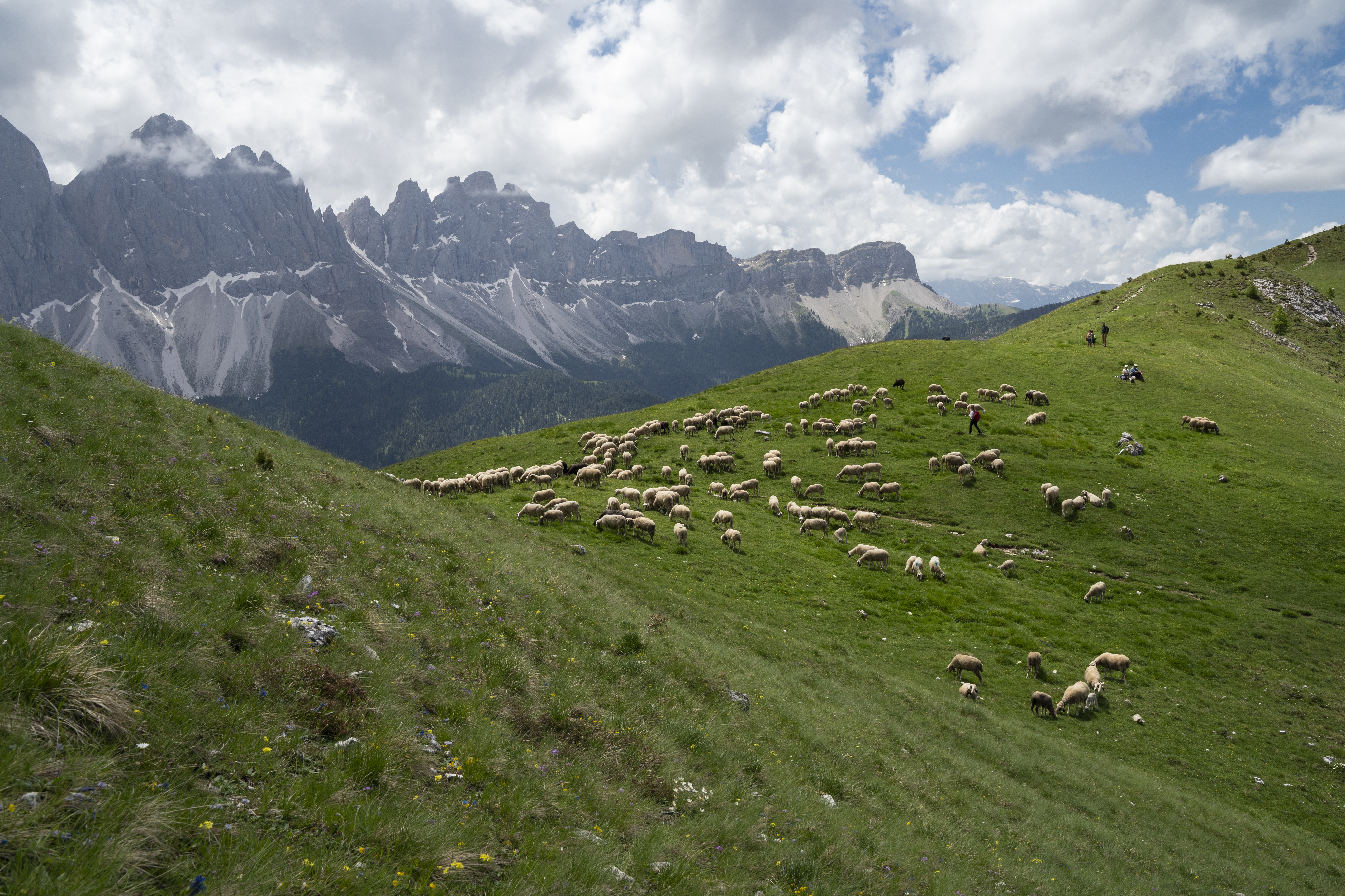 Il tempo dei pastori (videoreportage)